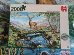 Jumbo puzzel 2000 stukjes Wildlife splendour, Ophalen of Verzenden, Meer dan 1500 stukjes, Zo goed als nieuw, Legpuzzel