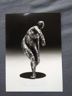Harry Storms galerie persfoto sculptuur, Ophalen of Verzenden