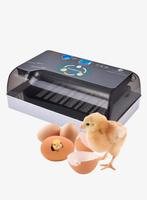 Twee broedmachines, Ophalen of Verzenden, Zo goed als nieuw, Drinken en Voederen