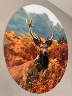 Wandcirkel Hert diameter 90 cm, Ophalen, Zo goed als nieuw