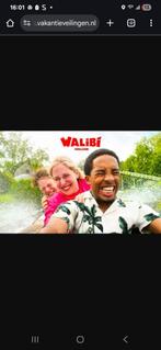 2 kaartjes walibi, Twee personen, Ticket of Toegangskaart