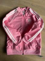 Adidas roze pak 2-3 jaar, Maat 34 (XS) of kleiner, Ophalen of Verzenden, Roze, Zo goed als nieuw