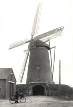 St. Huibrechts-Lille (Belgje- prov. Limburg) De Windmolen., Verzamelen, Ansichtkaarten | België, Verzenden, 1960 tot 1980, Ongelopen
