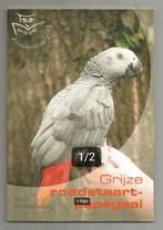 Grijze Roodstaartpapegaai - Ellen Uitenbogaard, Ophalen of Verzenden, Nieuw, Vogels