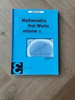 Mathematics that Works - volume 1, Ophalen of Verzenden, Zo goed als nieuw, Natuurwetenschap, Maarten de Gee