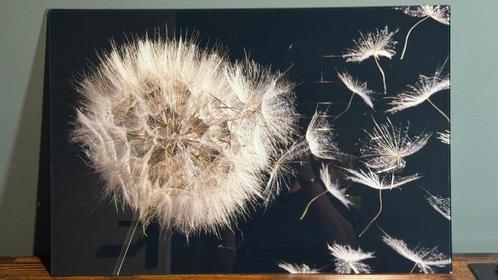 Glasschilderij | paardebloem, Huis en Inrichting, Woonaccessoires | Schilderijen, Tekeningen en Foto's, Minder dan 50 cm, Minder dan 50 cm