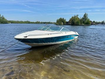 Nette Searay 180 Signature beschikbaar voor biedingen