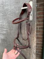 Cwd hoofdstel incl cwd teugels, Dieren en Toebehoren, Ophalen of Verzenden, Zo goed als nieuw, Springen