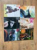 Bit magazines, Ophalen of Verzenden, 1980 tot heden, Nederland, Tijdschrift