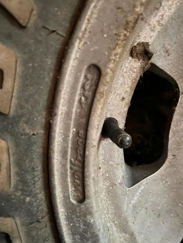Wolfrace velgen beschikbaar voor biedingen