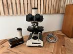 Olympus BH2 trinoculair in perfecte staat!, Ophalen of Verzenden, Zo goed als nieuw, Biologische microscoop