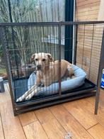 Grote stevige stalen bench 60x95x80, bovenluik & deur, Dieren en Toebehoren, Ophalen, Zo goed als nieuw