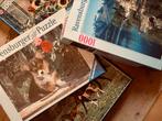 4 legpuzzels - 1000 stukjes - Jumbo/Ravensburger, Verzenden, Zo goed als nieuw