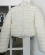Witte winterjas nieuw maat S / M, Ophalen of Verzenden, Nieuw, Jack