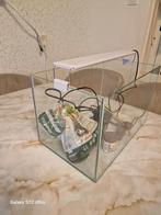 Aquarium Compleet, Ophalen, Gevuld zoetwateraquarium