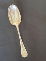 Wijngaarde S leeuwarden 1789   56 gram 20 cm, Ophalen of Verzenden
