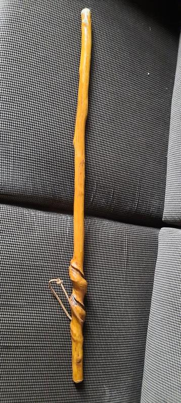 Twentsche goa wandelstok beschikbaar voor biedingen