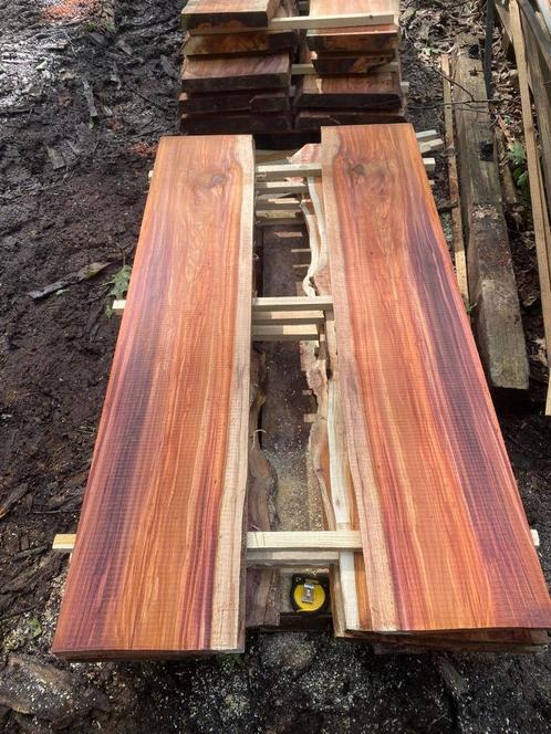 Taxus hout, Doe-het-zelf en Verbouw, Hout en Planken, Nieuw, Plank, Overige houtsoorten, 300 cm of meer, 25 tot 50 mm, Ophalen
