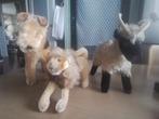 3 vintage Steiff knuffels in goede staat, Ophalen of Verzenden, Gebruikt, Beeldje of Figuurtje