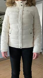 Tommy Hilfiger winterjas dames maat m/ 38, Kleding | Dames, Jassen | Winter, Maat 38/40 (M), Thommy hilfiger, Wit, Ophalen of Verzenden