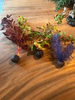 Aquarium beeldjes (oa Disney) en kunst plantjes, Ophalen of Verzenden, Gebruikt, Sierelement