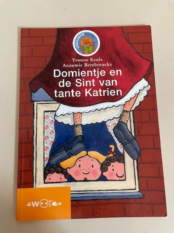 Domientje en de Sint van tante Katrien. Yvonne Keuls Zwijsen, Boeken, Kinderboeken | Jeugd | onder 10 jaar, Zo goed als nieuw