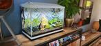 Superfish Aquarium incl. ChristalProfi filter en Fluval LED, Ophalen, Zo goed als nieuw, Leeg aquarium