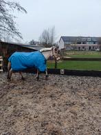 Horseware amigo revive 200 gram met hals, Ophalen of Verzenden, Zo goed als nieuw