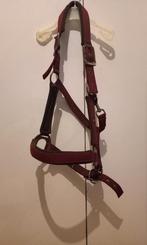 Beaurdeux halster COB, Dieren en Toebehoren, Paarden en Pony's | Hoofdstellen en Tuigage, Ophalen of Verzenden, Gebruikt, Overige soorten