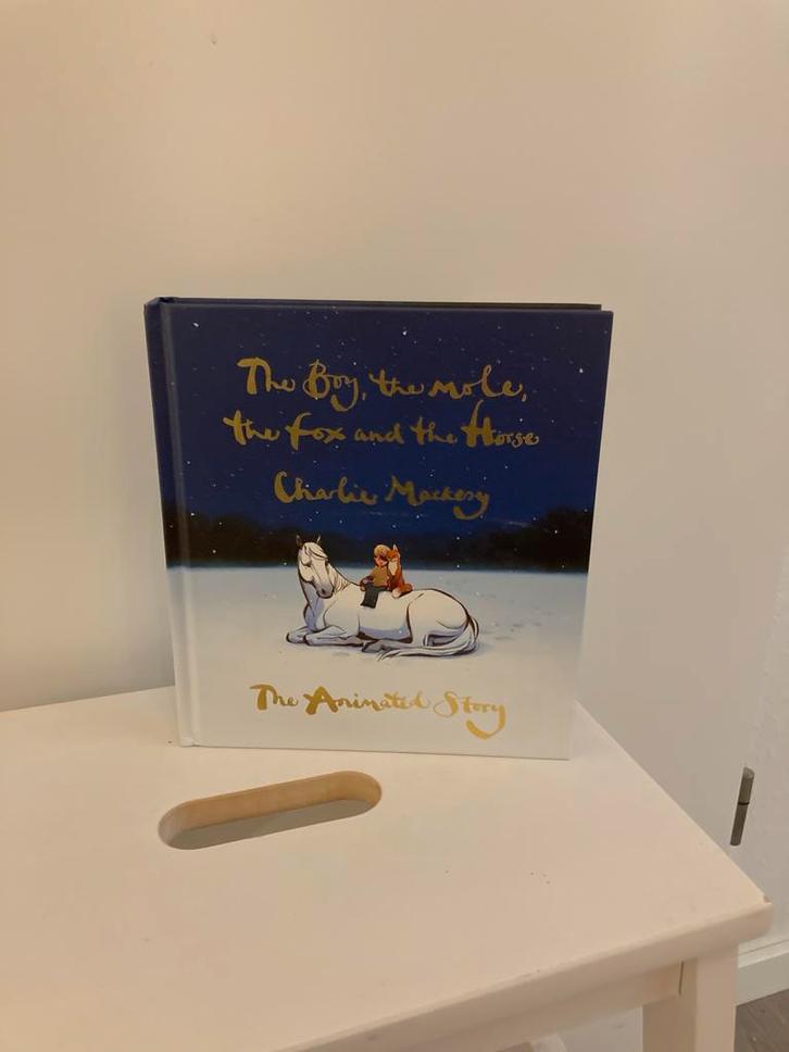 The Boy, the Mole, the Fox and the Horse - Zo goed als nieuw, Boeken, Kinderboeken | Jeugd | onder 10 jaar, Zo goed als nieuw