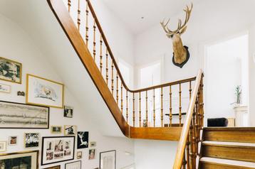 Prachtige Edelhert Taxidermie Wanddecoratie beschikbaar voor biedingen