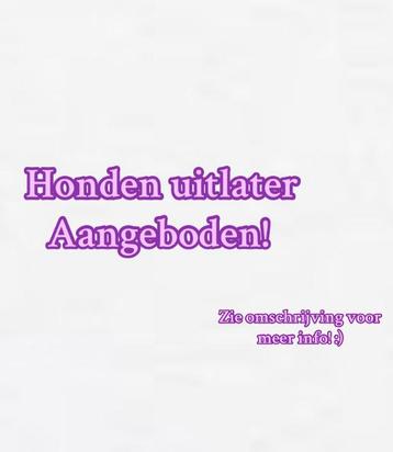 Hondenuitlater/oppas aangeboden! beschikbaar voor biedingen