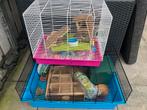 Hamster kooi, Minder dan 60 cm, Kooi, Minder dan 75 cm, Ophalen of Verzenden