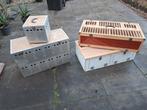Te koop duivemanden gebruikt, Dieren en Toebehoren, Vogels | Duiven, Meerdere dieren, Postduif