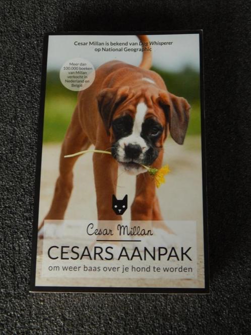 Cesars aanpak, Boeken, Dieren en Huisdieren, Gelezen, Honden, Ophalen of Verzenden