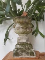 Betonnen bloempot op console, Tuin en Terras, Bloempotten, 40 tot 70 cm, Beton, Rond, Gebruikt