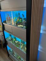 Aquarium stelling, Ophalen, Gebruikt, Leeg aquarium