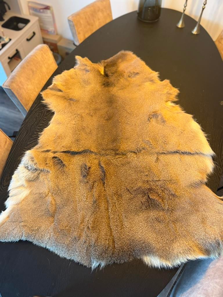 Rendiervel ter decoratie, Ophalen of Verzenden, Rechthoekig, 50 tot 100 cm