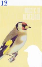 Ansichtkaart Vogels in Nederland Putter Erfvogel ( B3926 ), Verzenden, 1980 tot heden, Ongelopen