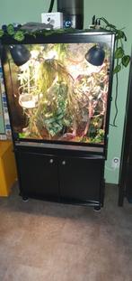 Hoog terrarium, Dieren en Toebehoren, Ophalen, Gebruikt, Terrarium of Paludarium