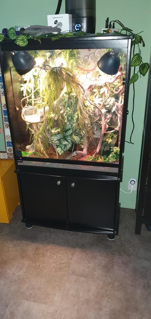 Hoog terrarium, Dieren en Toebehoren, Reptielen en Amfibieën | Toebehoren, Gebruikt, Terrarium of Paludarium, Ophalen