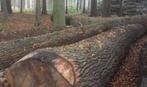 Openhaardhout gezocht, Eikenhout, Stammen, Ophalen, 6 m³ of meer