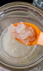 100% Biologische Water Kefir plantjes waterkefir probiotica, Ophalen of Verzenden, Nieuw, Overige typen
