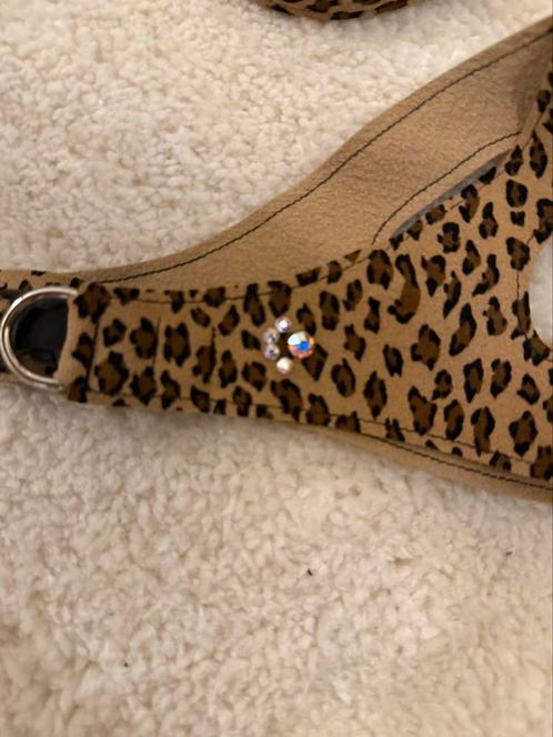 Susan Lanci tuigje maat  S/M (Kleur Chrystal Paws Cheetah), Dieren en Toebehoren, Hondenriemen, Zo goed als nieuw, Hondenriem
