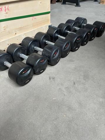 OPRUIMING! LifeMaxx Dumbbells beschikbaar voor biedingen