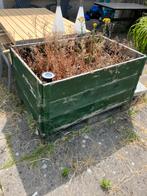 Plantenbak in transport pallet, Ophalen, Gebruikt, Rechthoekig, Hout