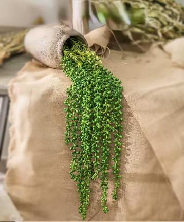 Kunst Vetplant 40cm - Hangplant Nepplant Erwtenplant Sier beschikbaar voor biedingen