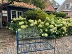 Gietijzeren baby ledikant, Kinderen en Baby's, Babywiegjes en Ledikanten, Ophalen, Ledikant
