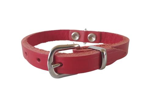 KARLIE Rondo Halsband Leder XS Nekomtrek 16-19 cm KOOPJE!!!, Dieren en Toebehoren, Hondenhalsbanden en Penningen, Nieuw, Ophalen of Verzenden