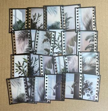 Planten, fotorolletje foto stickers beschikbaar voor biedingen
